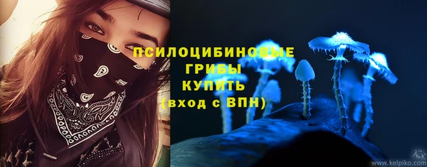 a pvp Майский