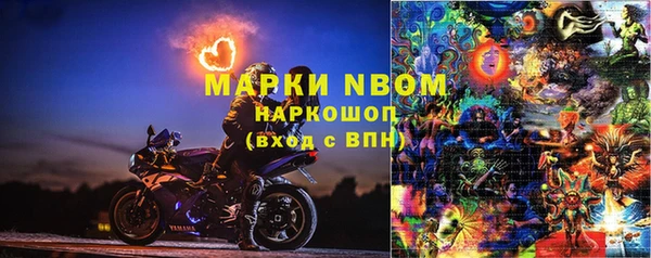 трава Магас