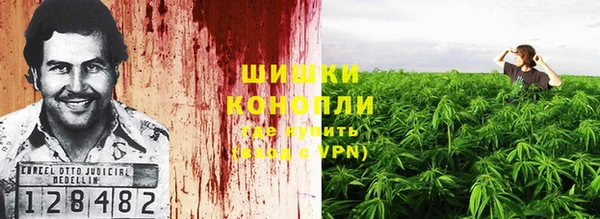 трава Магас