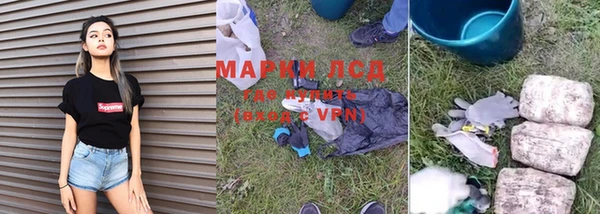 трава Магас