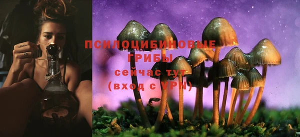 молекула духа Беслан