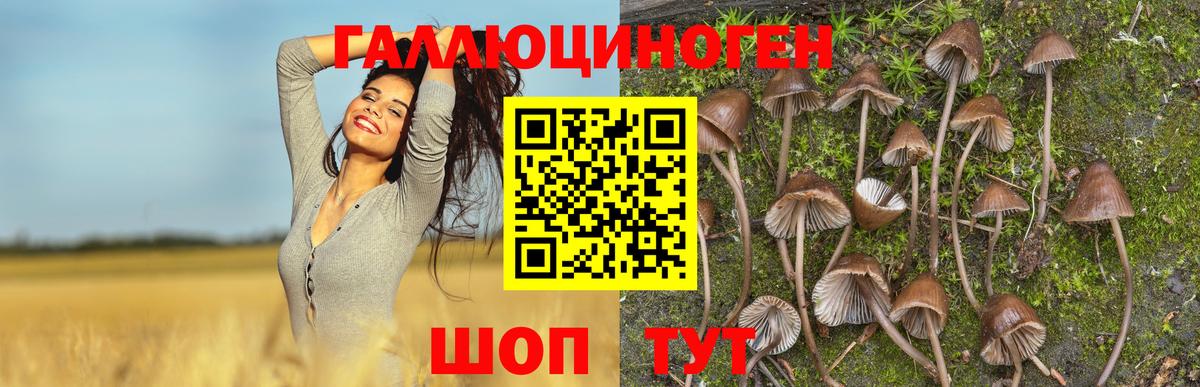Псилоцибиновые грибы мухоморы Стерлитамак