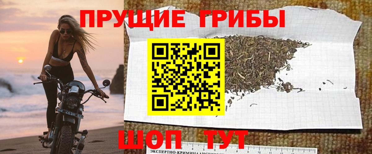 Галлюциногенные грибы мицелий  Вход с VPN  Стерлитамак 