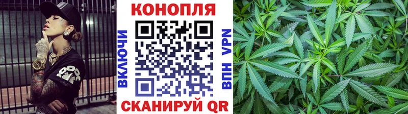 купить  цена  Стерлитамак  МЕГА ССЫЛКА  Шишки марихуана Amnesia 